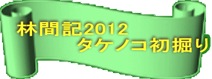 林間記2012 　　　　タケノコ初掘り